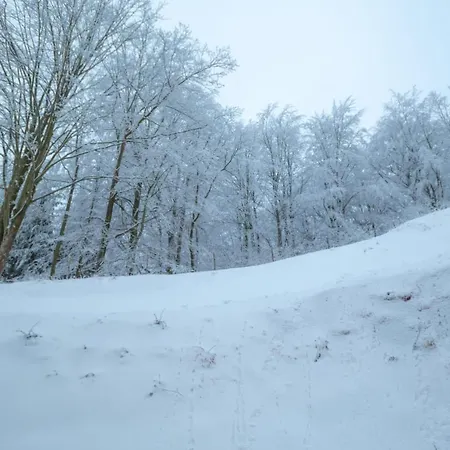 Zaciszny * Szklarska Poreba