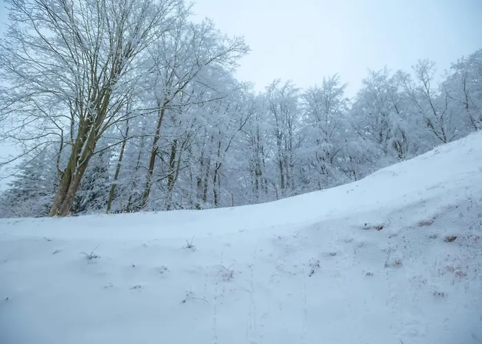 Zaciszny * Шклярска-Поремба